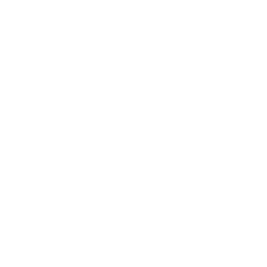 Pontifical University of the Holy Cross Foundation Logo